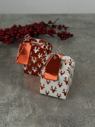 Подарункова коробка на ялинку (для 1 трусиків)